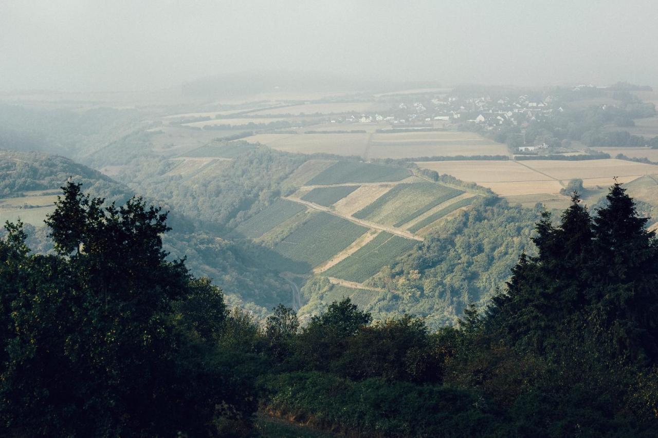 Fetz Das Loreley Hotel Dorscheid ภายนอก รูปภาพ